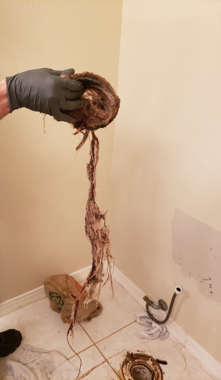 Root Infiltration on Toilet Flange
