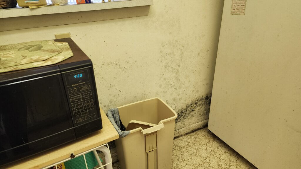 Brown mold removal in a Florida home, showing the process of cleaning visible mold on walls with vinegar. The image highlights moisture damage and the importance of timely mold remediation.