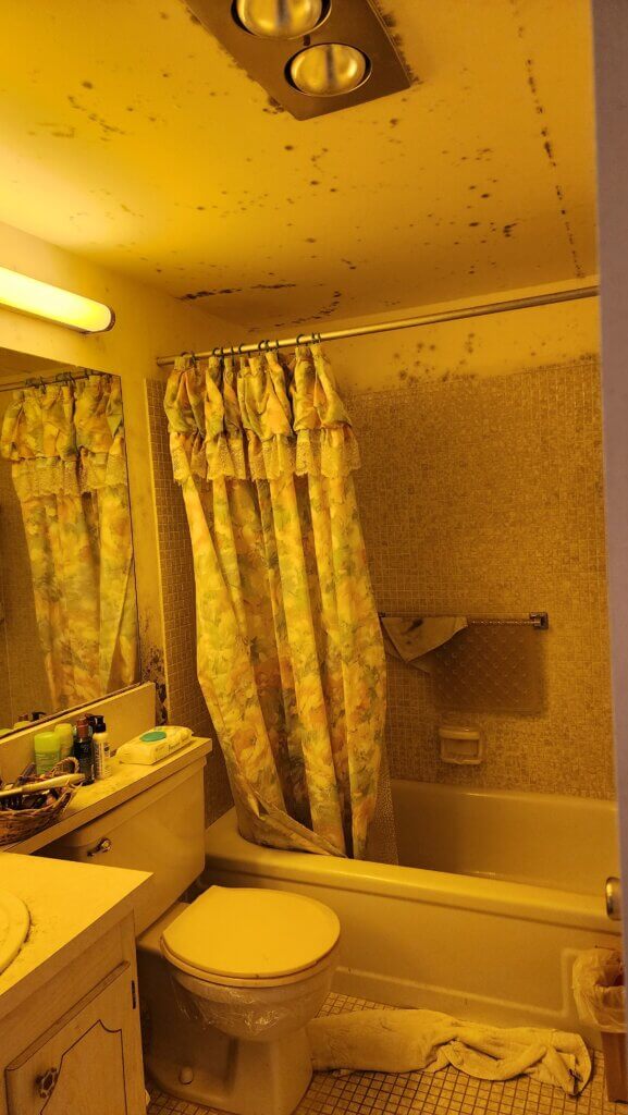 Image of the process for removing orange mold from bathroom tiles using natural cleaners like vinegar or hydrogen peroxide.