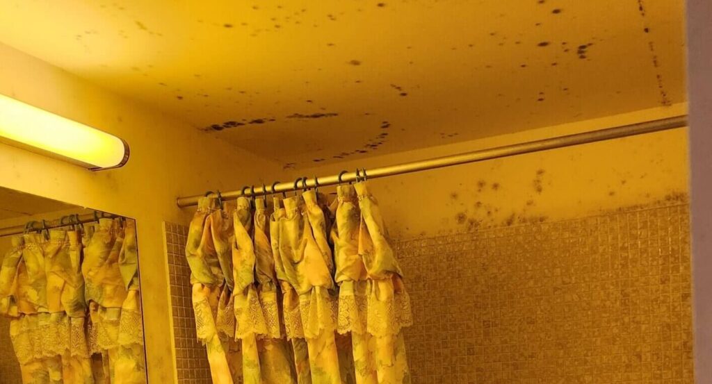 Image of the process for removing orange mold from bathroom tiles using natural cleaners like vinegar or hydrogen peroxide.