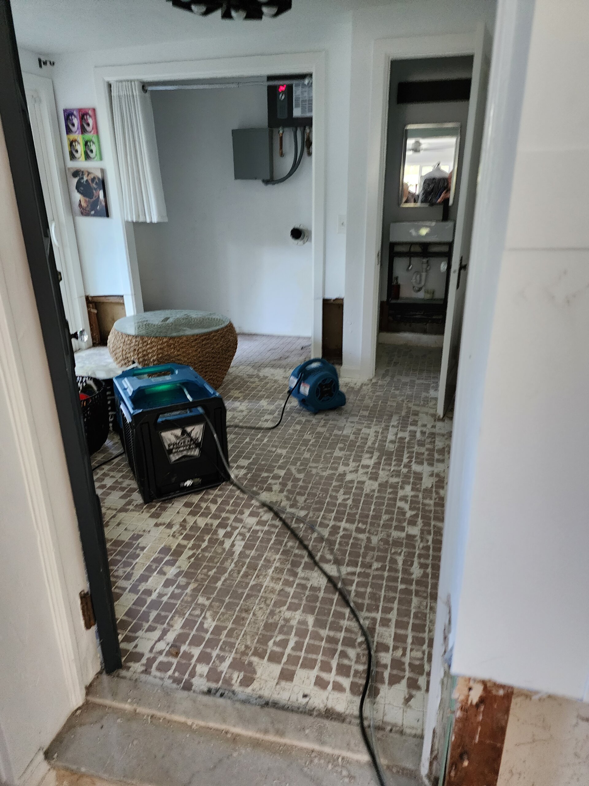 Dry Out Service After Flood Damage