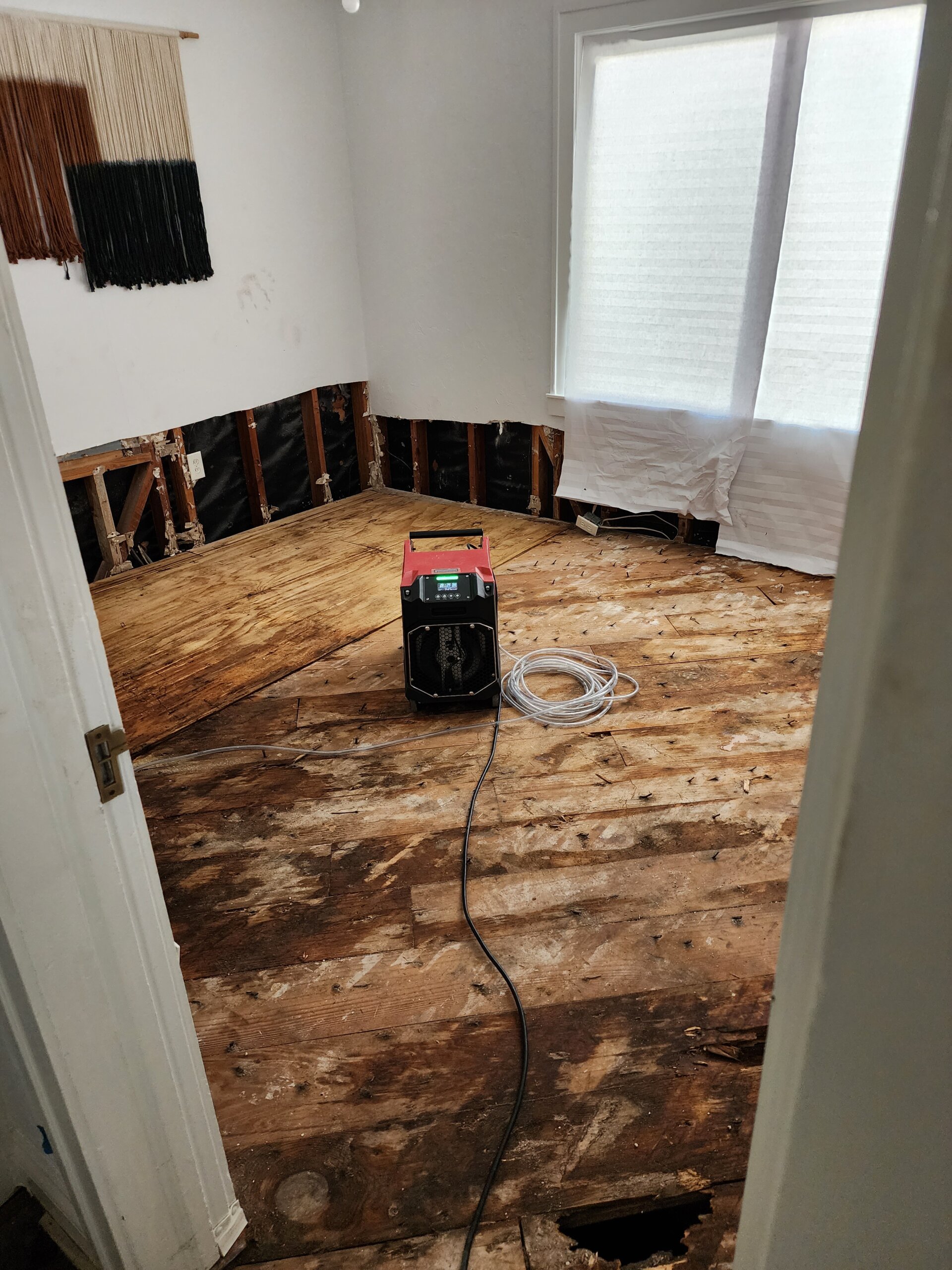 Dry Out Service After Flood Damage2