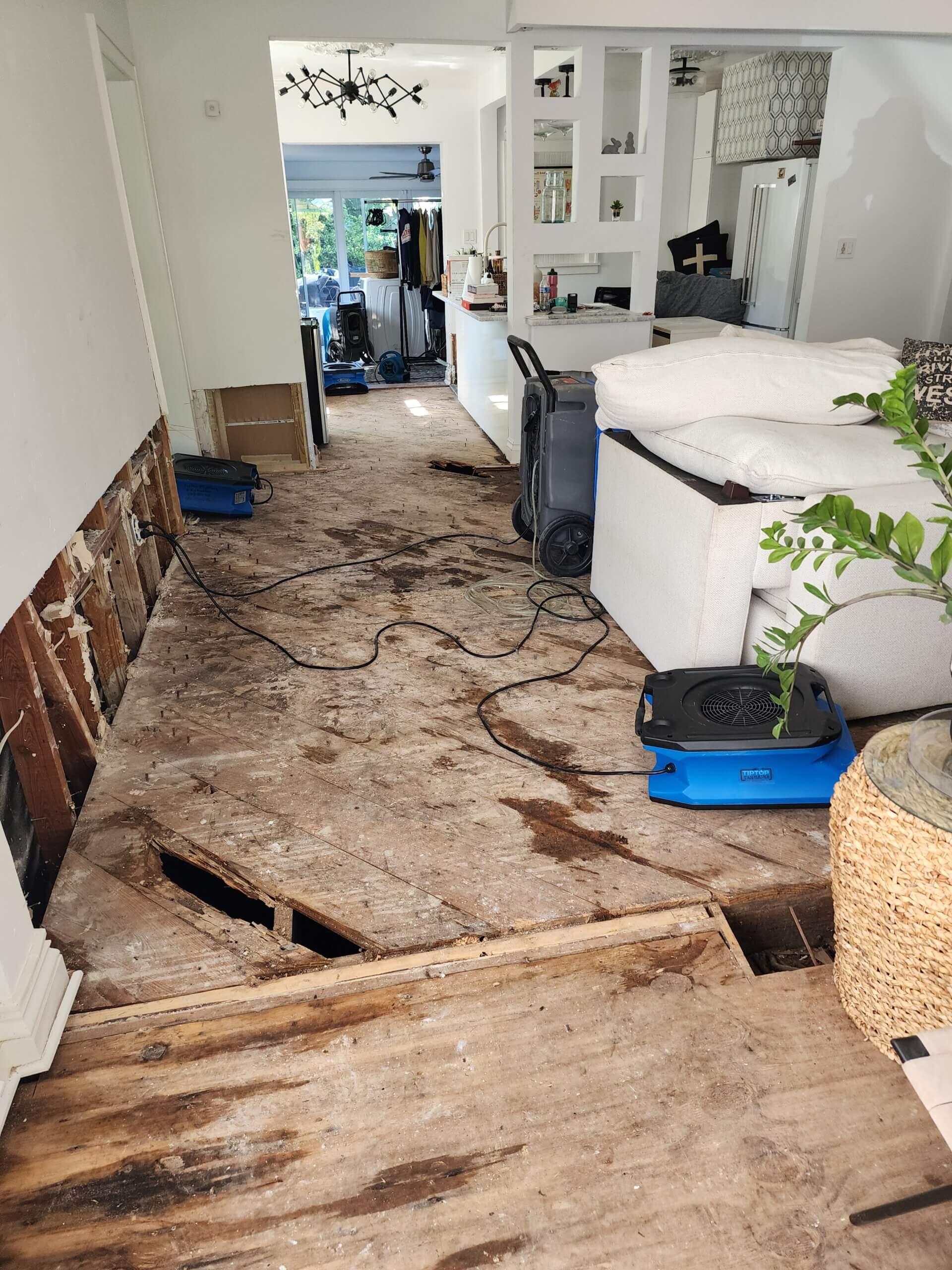 Dry Out Service After Flood Damage3