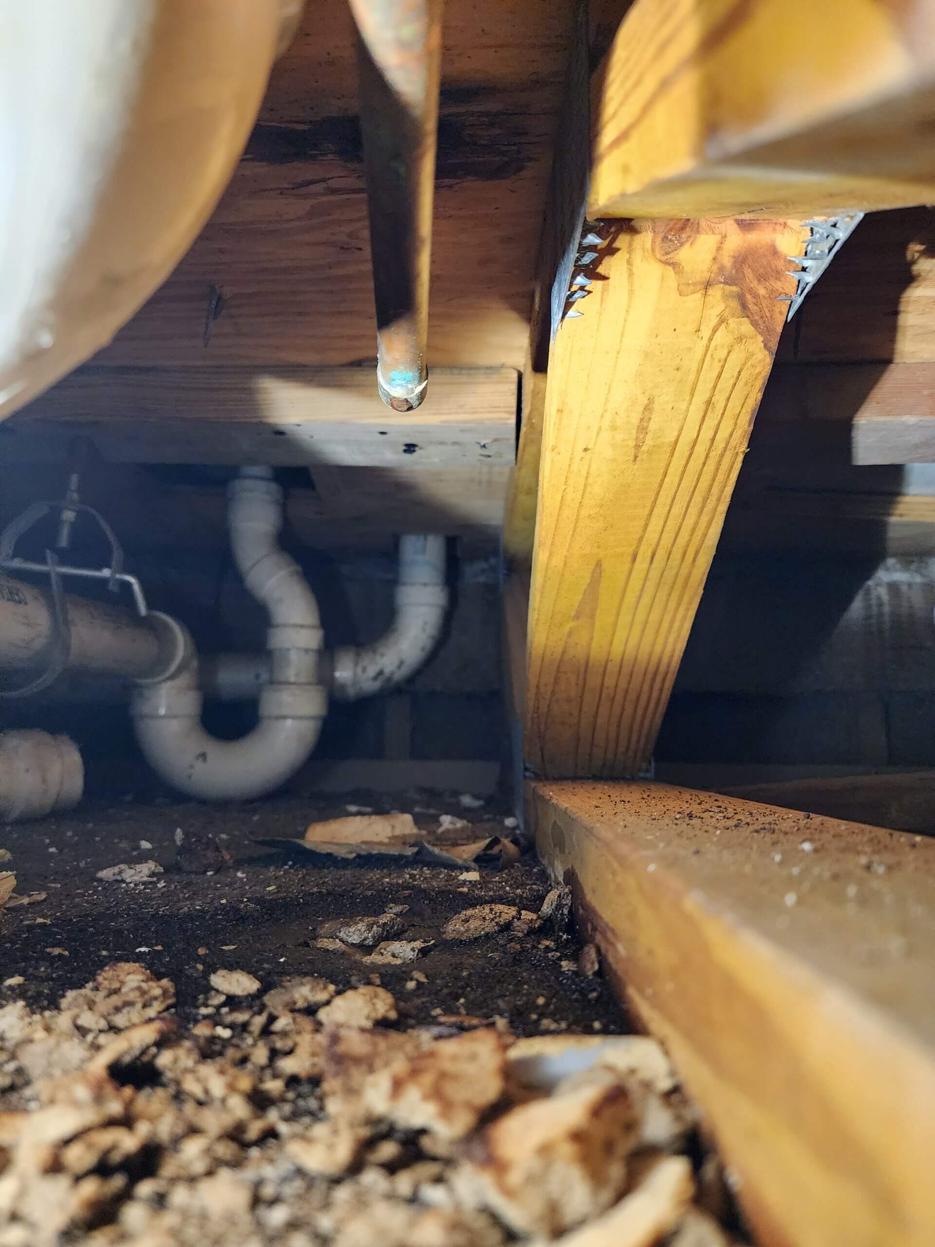 Leaking Copper Pipe in Crawl Space