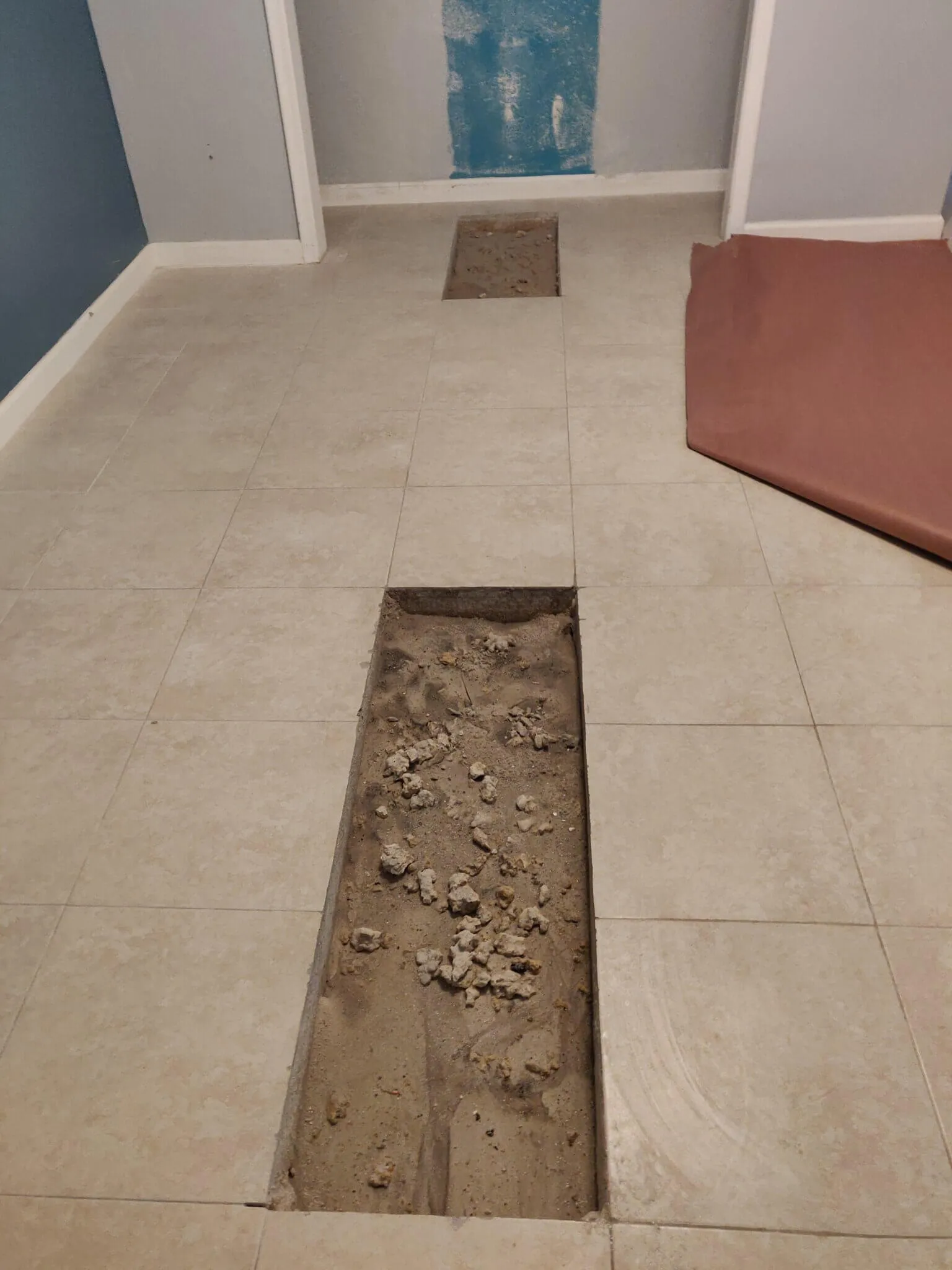 Signs You Have Damaged Sewer Line
