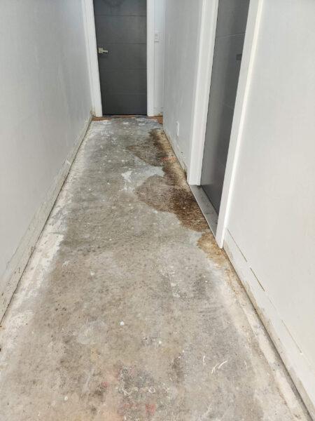 Mold damage restoration scene in a Broward County home showing early-stage wall remediation with visible mold, plastic containment barriers, and inspection tools. Tip Top Plumbing provides expert mold treatment to prevent health risks and structural damage.
