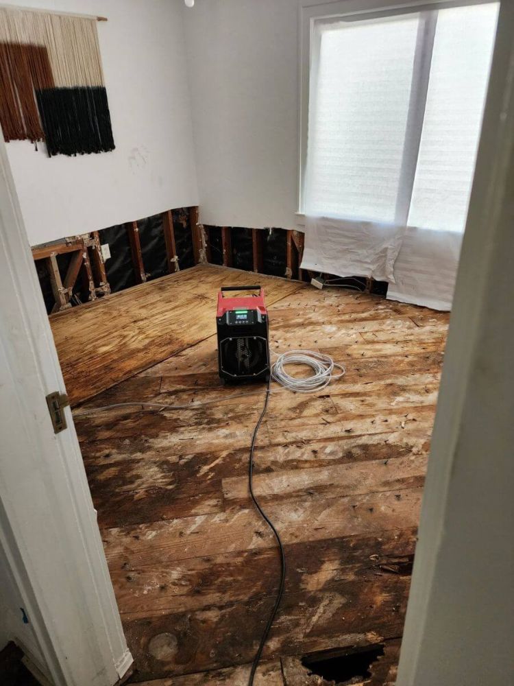Water Damage Cleanup & Plumbing Restoration Sea Ranch Lakes FL | Tip Top Plumbing & Restoration