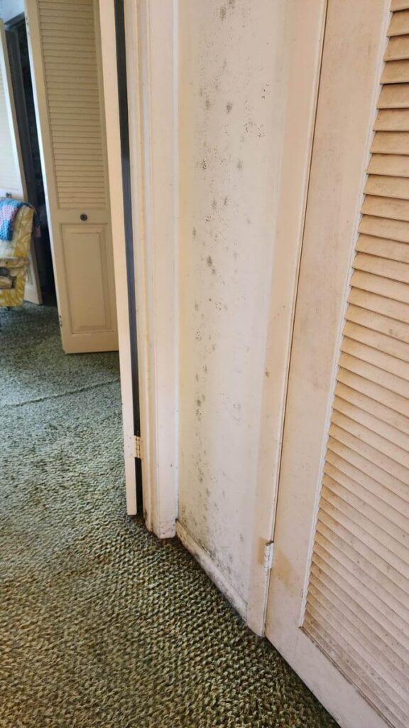 Mold growth on a white interior wall inside a Sunshine Acres, FL home, signaling water damage that requires expert plumbing and restoration services by Tip Top Plumbing & Restoration. The image shows closet doors, vintage carpet, and discoloration typical of prolonged moisture exposure.