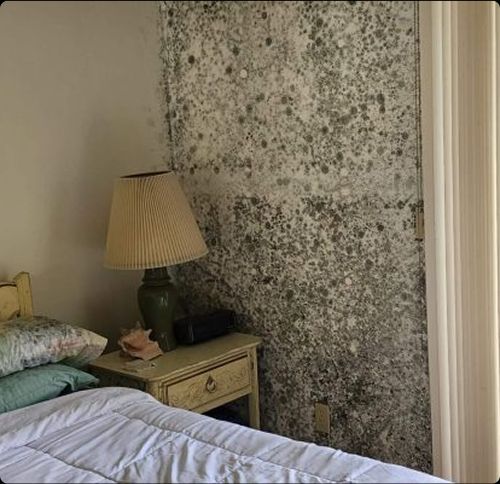 Severe mold damage in a Wilton Manors FL bedroom wall near plumbing leak.