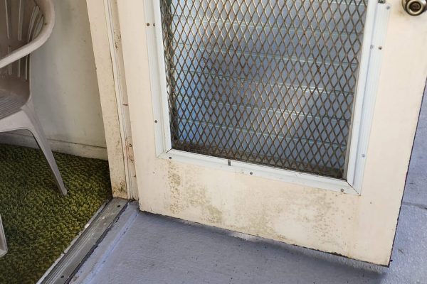 Expert Mold Remediation Services in Wilton Manors, FL | Safe & Efficient Removal Professional mold remediation services in Wilton Manors, FL, effectively treating mold and moisture damage using advanced technology and safe removal methods.