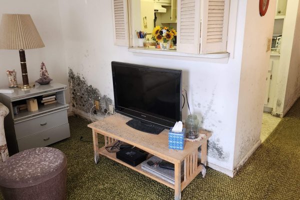 Professional mold remediation and water damage restoration equipment in use at a residential property in West Park, FL, emphasizing cleanliness and advanced technology.