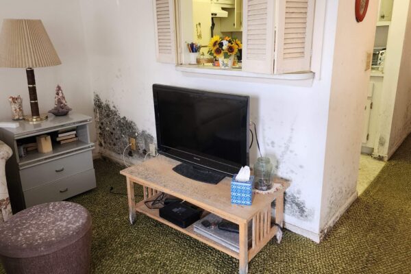 Mold Remediation & Water Damage Restoration Services in West Park, FL Professional mold remediation and water damage restoration equipment in use at a residential property in West Park, FL, emphasizing cleanliness and advanced technology.