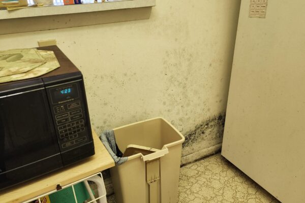 Brown Mold Removal Process | Tip Top Plumbing & Restoration Brown mold removal in a Florida home, showing the process of cleaning visible mold on walls with vinegar. The image highlights moisture damage and the importance of timely mold remediation.