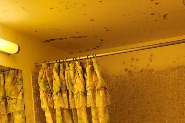 Image of the process for removing orange mold from bathroom tiles using natural cleaners like vinegar or hydrogen peroxide.