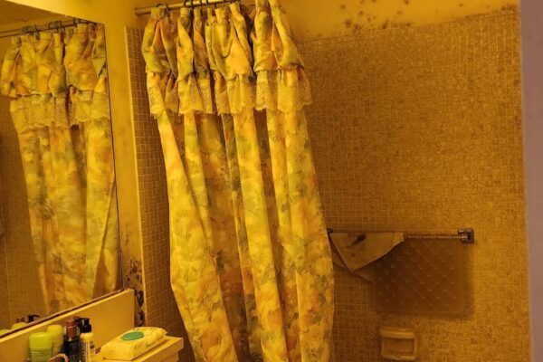 How to Get Rid of Orange Mold in Your Home Image of the process for removing orange mold from bathroom tiles using natural cleaners like vinegar or hydrogen peroxide.