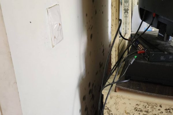 Tip Top Plumbing & Restoration providing expert mold remediation services in Sunshine Acres, FL, removing mold from homes and preventing future growth.