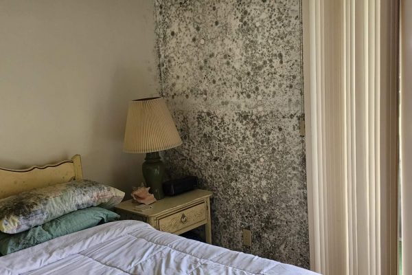 Mold Remediation Services | Tip Top Plumbing & Restoration Professional mold remediation service in action, with a technician using specialized equipment to clean mold from a wall, emphasizing cleanliness and thoroughness.